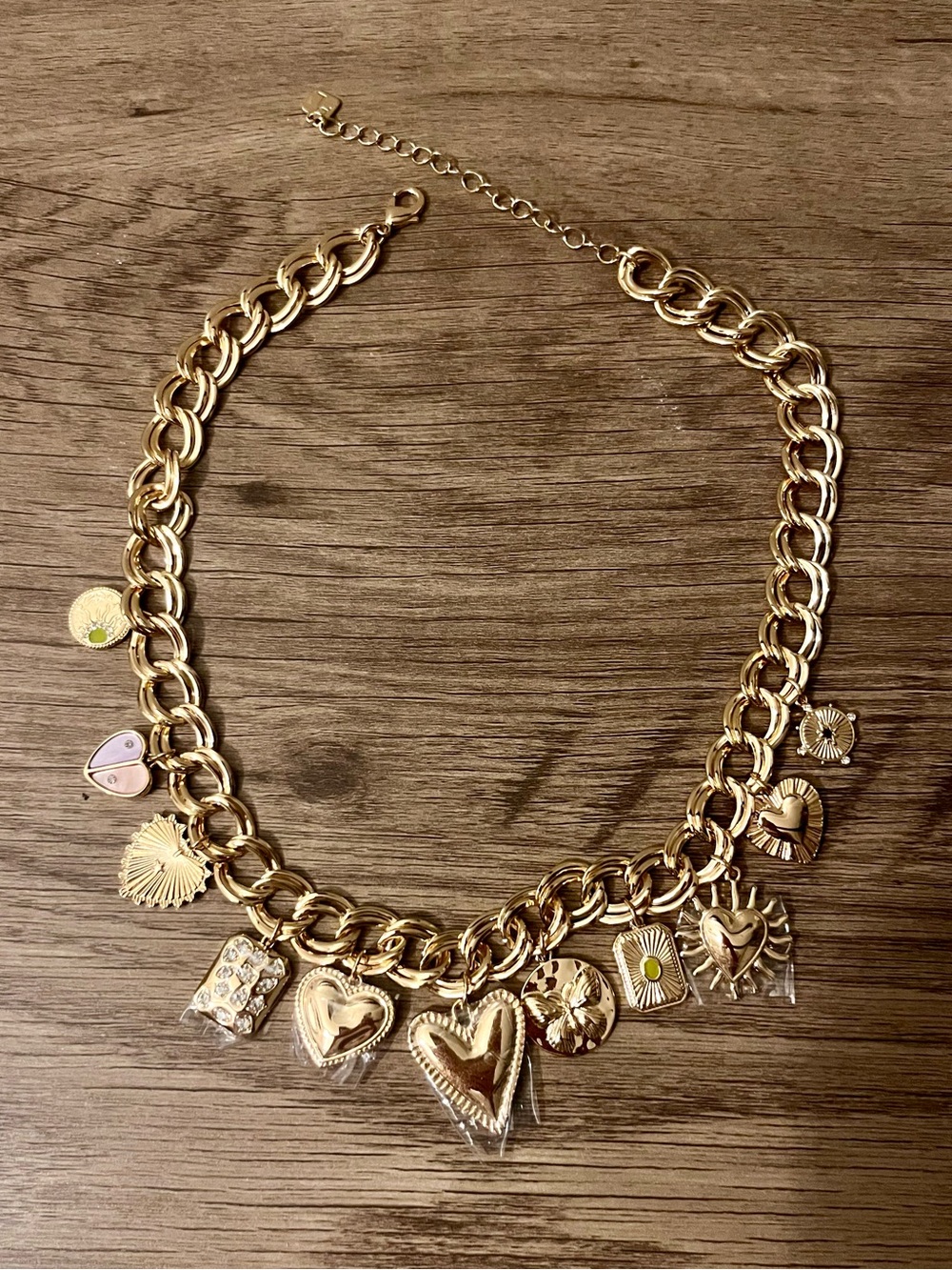 NWOT Park Lane Clara Charm Necklace